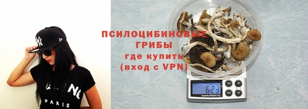 гашик Баксан