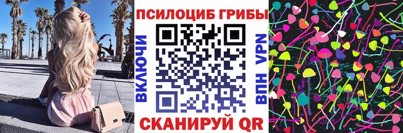 где купить наркотик  Ленинск-Кузнецкий  Псилоцибиновые грибы MAGIC MUSHROOMS 